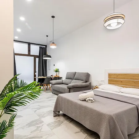 Apartment Elegante Y Moderno 1 O 2 Pax